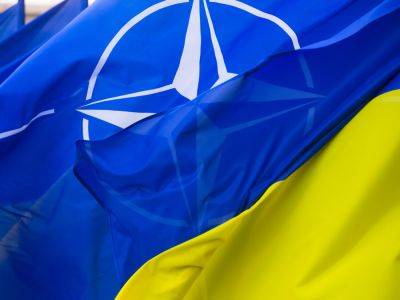 Евродепутат предлагает дать Украине гарантии безопасности от членов НАТО до окончания войны
