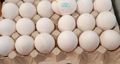 В Украине начали падать цены на куриные яйца: в чем причина и во сколько обойдется десяток