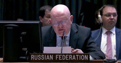 Нарушают гуманитарное право: Небензя назвал ПВО главной угрозой для Украины (видео)