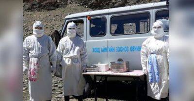 Рядом с Россией: в Монголии выявили около 140 очагов чумы