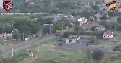 Десантники ВСУ под Красногоровкой захватили позиции оккупантов, которые те держали с 2014 года (видео)