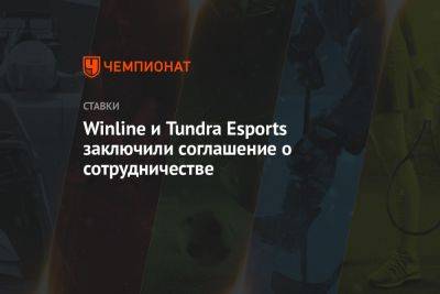 Winline и Tundra Esports заключили соглашение о сотрудничестве