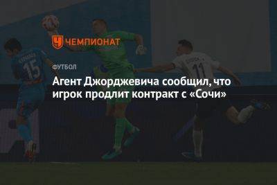Агент Джорджевича сообщил, что игрок продлит контракт с «Сочи»