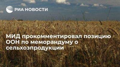 МИД: Москва удивлена позицией ООН по выполнению меморандума о сельхозпродукции