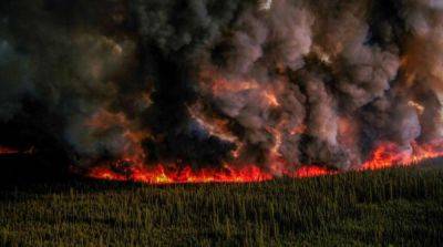 В Канаде не хватает спасателей для тушения масштабных лесных пожаров