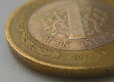 Самой «слабой» валютой за последние 10 лет назвали турецкую лиру