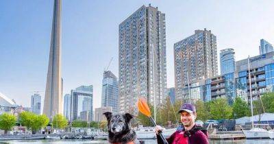 На пост мэра Торонто претендует больше 100 человек и собака