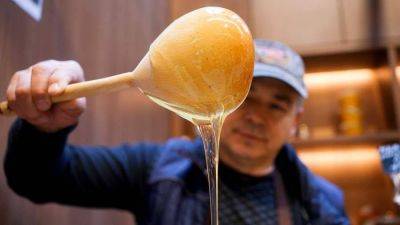 Сладость в радость: в РФ начнут определять подлинность меда