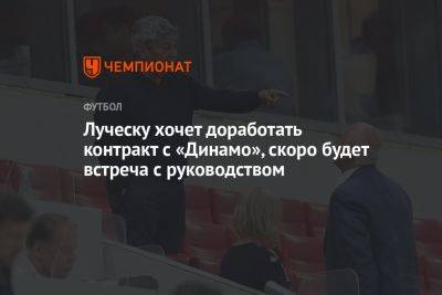 Луческу хочет доработать контракт с «Динамо», скоро будет встреча с руководством
