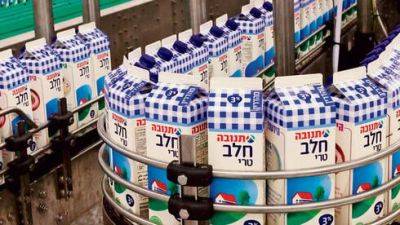 Молоко в картонных упаковках в Израиле стало дефицитом: в чем причина