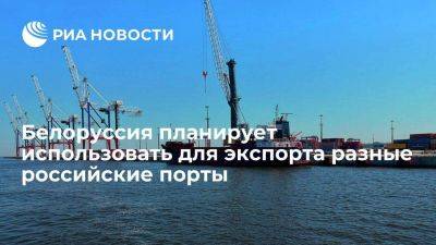 Посол Крутой: Белоруссия будет использовать разные российские порты, а не единый