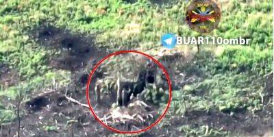 Еще один мятеж? Украинский дрон снял потешную драку оккупантов прямо на боевых позициях — видео