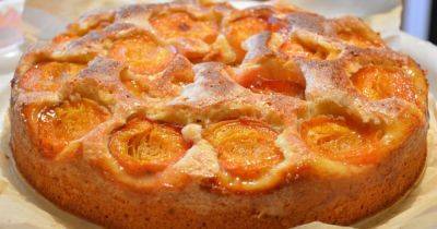 Летнее меню: рецепт вкусного пирога с абрикосами