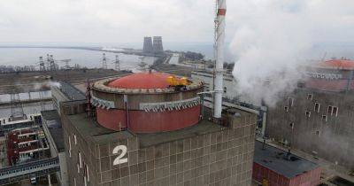В 100 раз меньше Чернобыля: ученый объяснил, надо ли паниковать при взрыве на Запорожской АЭС