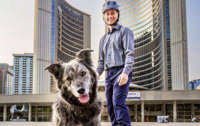 В Торонто на должность мэра баллотируется собака