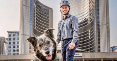 "Обещает" налоговые изменения: в одном из крупных городов собака поборется за пост мэра