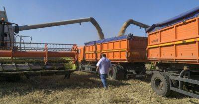 Урожай 2023: грозит ли украинцам дефицит зерновых из-за событий на Каховской ГЭС