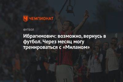 Ибрагимович: возможно, вернусь в футбол. Через месяц могу тренироваться с «Миланом»