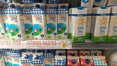 Дефицит молока в Израиле: разрешат ли импорт из Европы