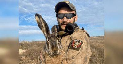 Был "древним богом": украинские военные спасли от мин гигантского зайца (фото)