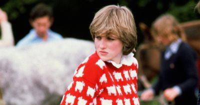 Знаменитый свитер принцессы Дианы с черной овцой продадут на аукционе за 100 тысяч долларов
