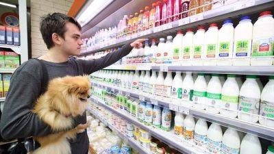 Эксперты назвали причины снижения цен на молоко в России