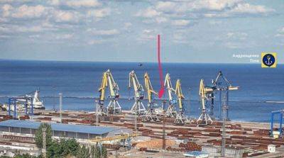 Захватчики ускорили вывоз ворованного зерна через порт Мариуполя – Андрющенко