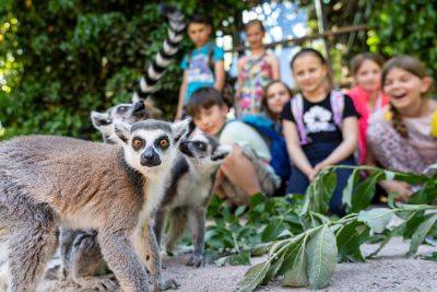 В пятницу дети смогут бесплатно посетить Пражский зоопарк