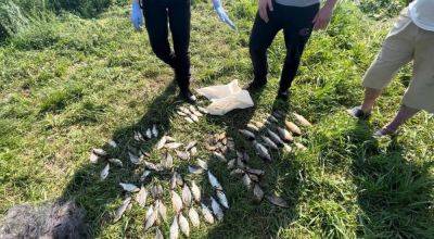 На Харьковщине мужчина погубил рыбы на более сотни тысяч гривен (фото)
