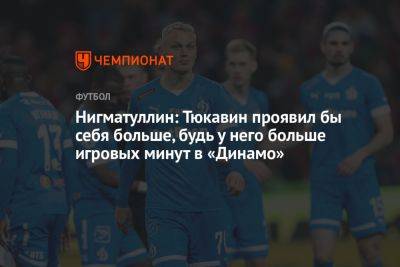 Нигматуллин: Тюкавин проявил бы себя больше, будь у него больше игровых минут в «Динамо»