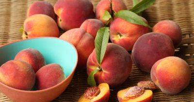 Девять причин немедленно купить персики: чем полезен летний фрукт - dsnews.ua - Украина