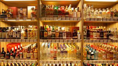 The Bell: Производитель алкоголя Bacardi наращивает прибыль в России