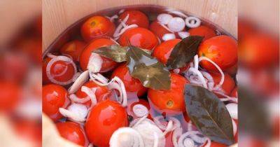Получатся у каждой хозяйки: готовим кисленькие и целенькие квашеные помидоры