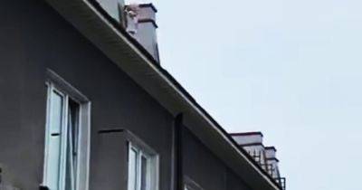 В шаге от трагедии. В Польше с крыши дома сняли 4-летнюю девочку из Украины: где была мать