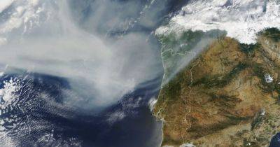 Невозможно дышать. Гигантское облако удушливого дыма от лесных пожаров в Канаде достигло Европы