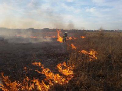 Поджигателей сухой растительности в Одесской области ждет штраф | Новости Одессы