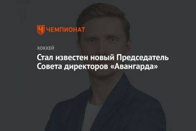 Александр Крылов - Стал известен новый Председатель Совета директоров «Авангарда» - championat.com - Россия - Омск