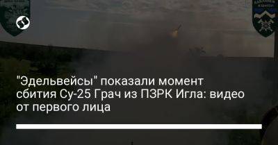 "Эдельвейсы" показали момент сбития Су-25 Грач из ПЗРК Игла: видео от первого лица