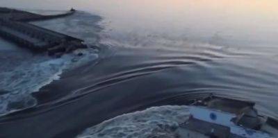 путин убил Черное море: последствия подрыва на Каховской ГЭС всплыли у берегов Абхазии. Видео