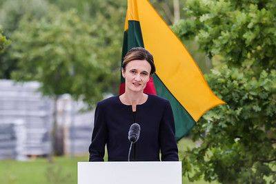 Виктория Чмилите-Нильсен - Спикер Сейма Литвы призывает выделить в бюджете ЕС больше средств на военную мобильность - obzor.lt - Россия - Украина - Литва - Брюссель