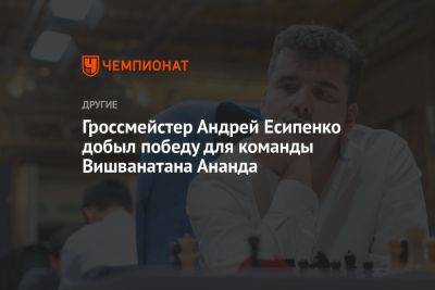 Гроссмейстер Андрей Есипенко добыл победу для команды Вишванатана Ананда