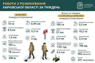 Разминирование: за неделю на Харьковщине уничтожили 1161 взрывоопасный предмет