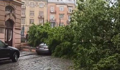 Надвигается мощный грозовой фронт и ураганный ветер: синоптик Диденко предупредила о серьезной непогоде в пятницу 30 июня