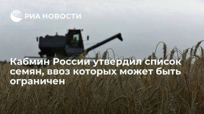 Кабмин России утвердил список семян, ввоз которых может быть ограничен с 1 октября