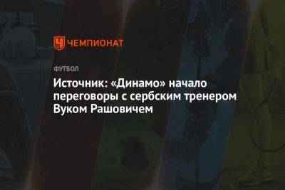 Источник: «Динамо» начало переговоры с сербским тренером Вуком Рашовичем