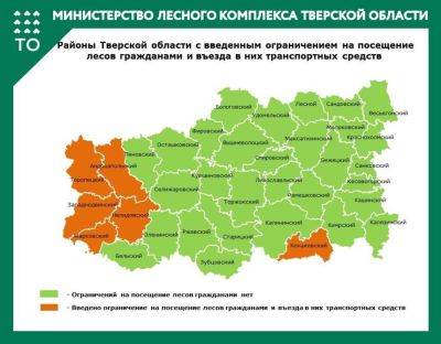 Ограничение на посещение лесов и штраф до 50 тыс рублей действуют в шести районах в Тверской области