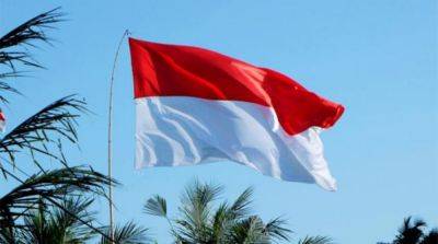 Индонезия предложила свой «мирный план» в войне с рф: реакция Украины