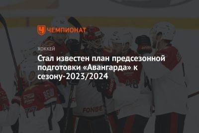 Стал известен план предсезонной подготовки «Авангарда» к сезону-2023/2024