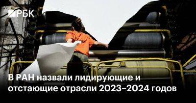 В РАН назвали лидирующие и отстающие отрасли 2023–2024 годов