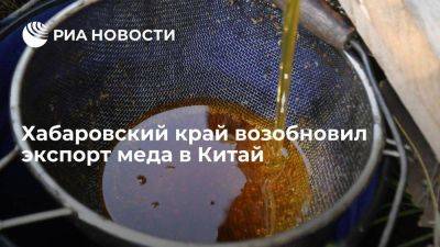 Россельхознадзор Хабаровского края сообщил о возобновлении экспорт меда в КНР